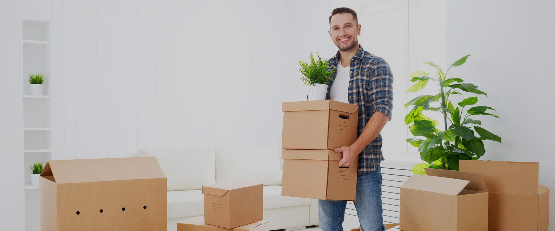 Packers and Movers Noida
