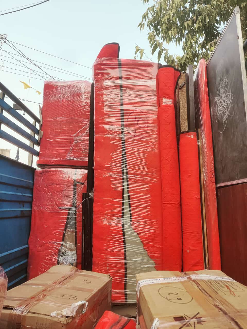 Bike Transportation Service